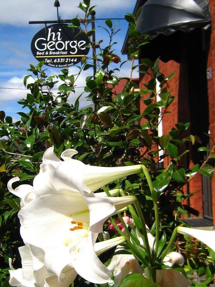 Hi George B&B Launceston Dış mekan fotoğraf